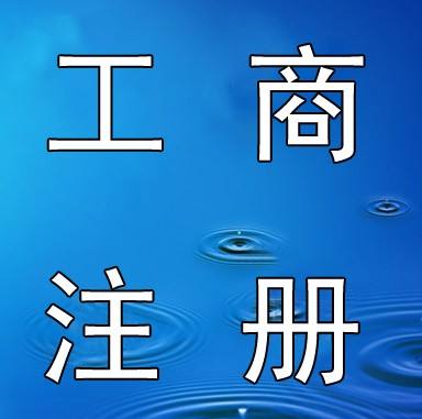 工商总局关于推行企业登记全程电子化工作的意见